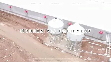 24,000 head fattening pig farm，Complete with modern pig rearing equipment！